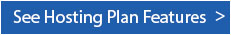 Business Hosting Plan Feature